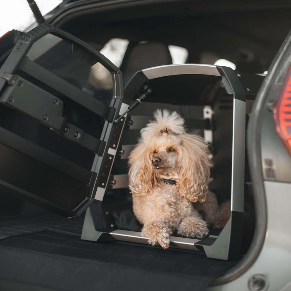 THULE ALLAX THRESHOLD COMPATIBLE (FÜR FAHRZEUGE MIT NIEDRIGEM KOFFERRAUMBODEN)