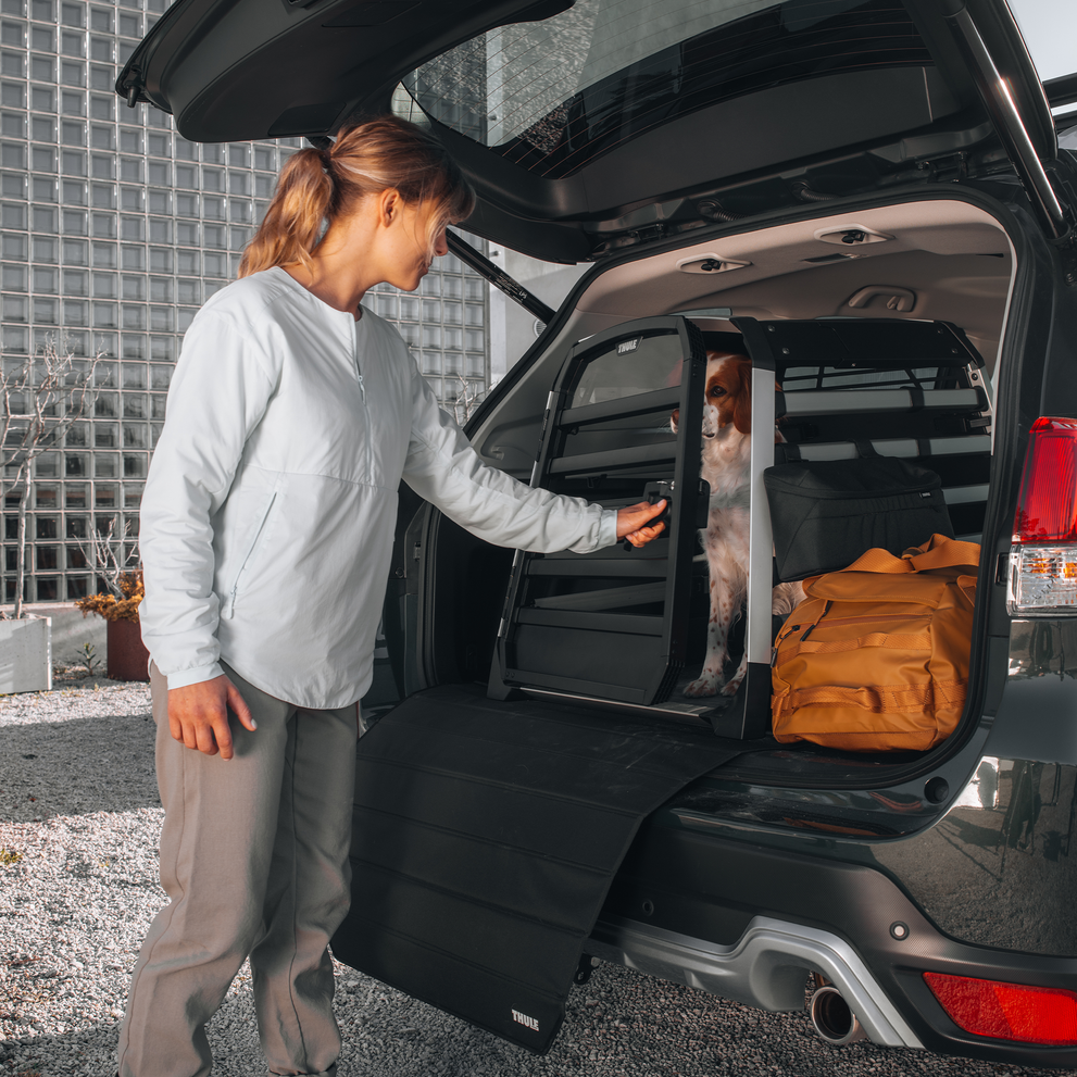 THULE ALLAX THRESHOLD COMPATIBLE (FÜR FAHRZEUGE MIT NIEDRIGEM KOFFERRAUMBODEN)