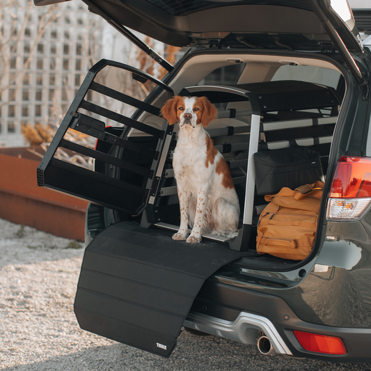 THULE ALLAX THRESHOLD COMPATIBLE (FÜR FAHRZEUGE MIT NIEDRIGEM KOFFERRAUMBODEN)