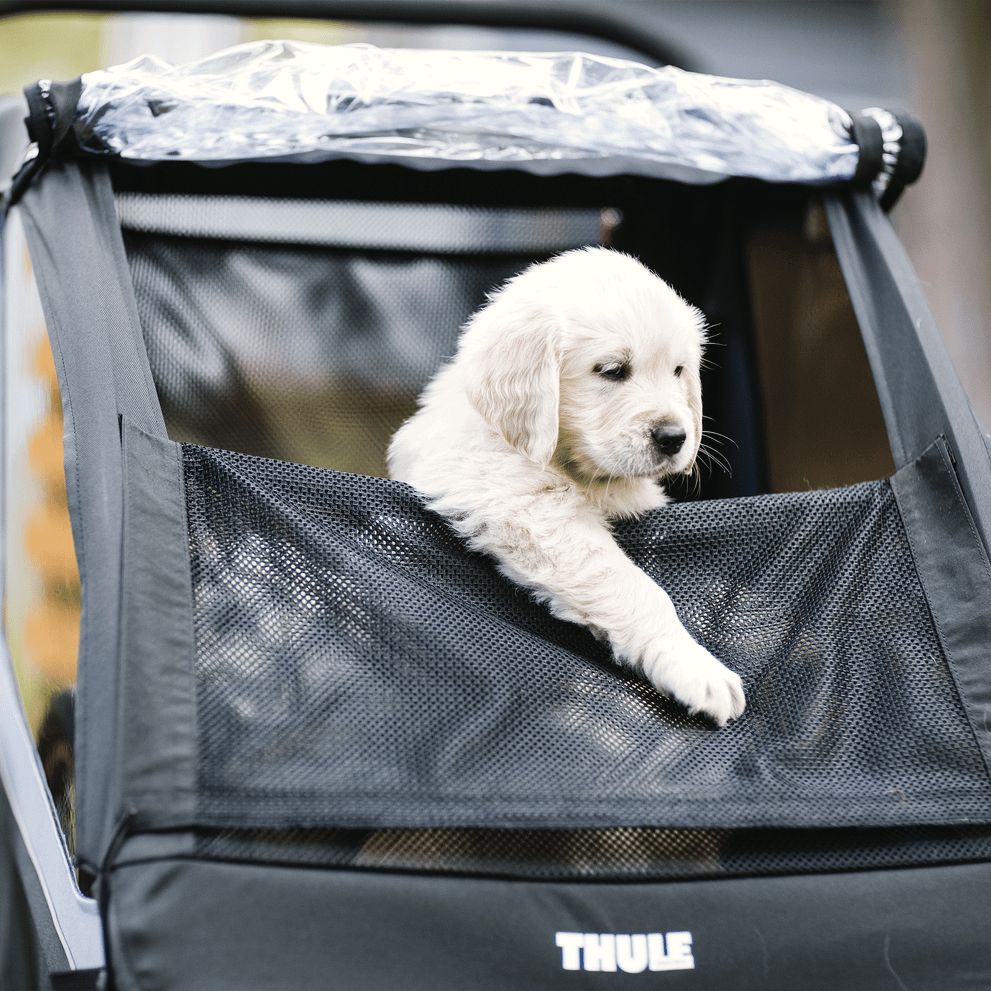 THULE COURIER