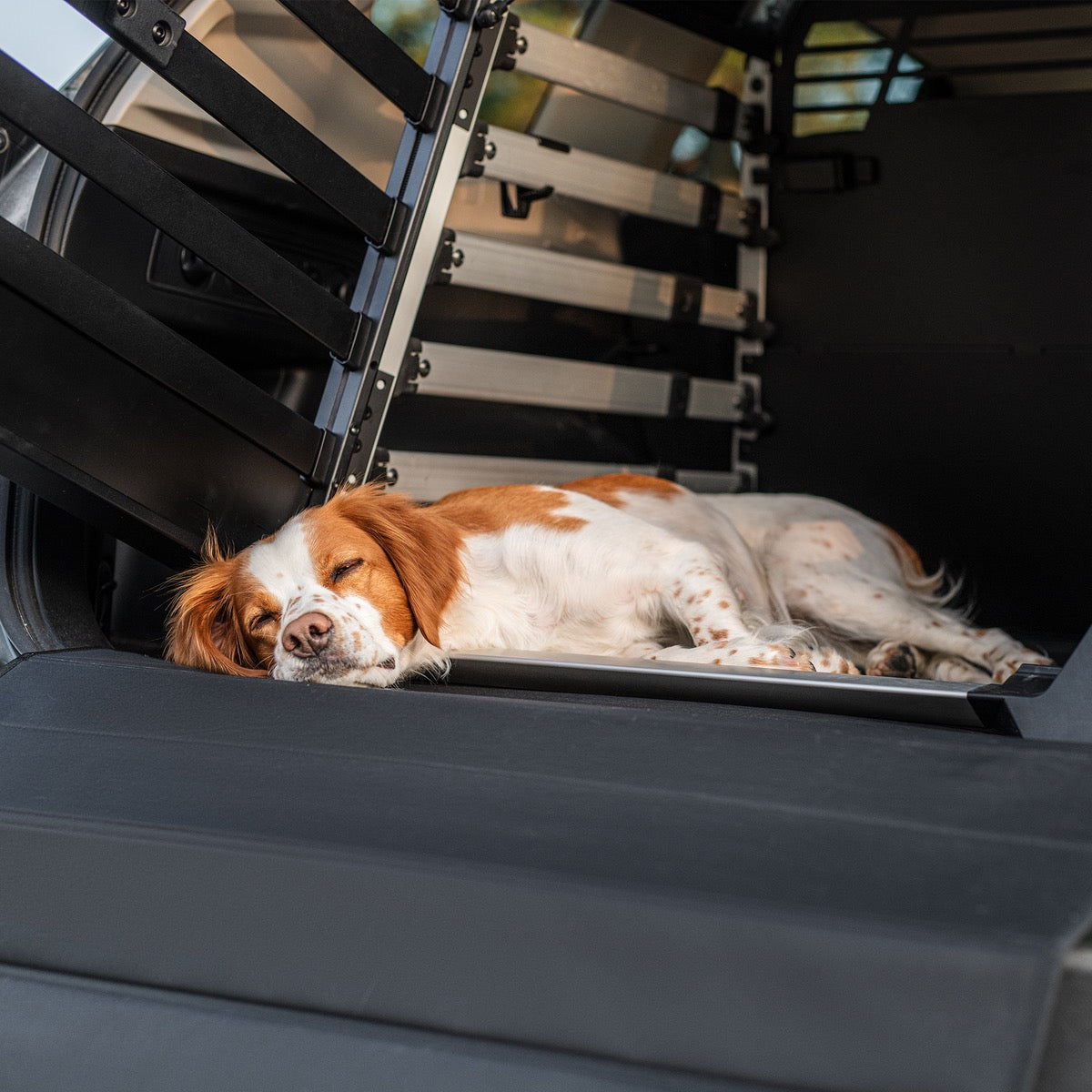 THULE HUNDE MATTE BREIT