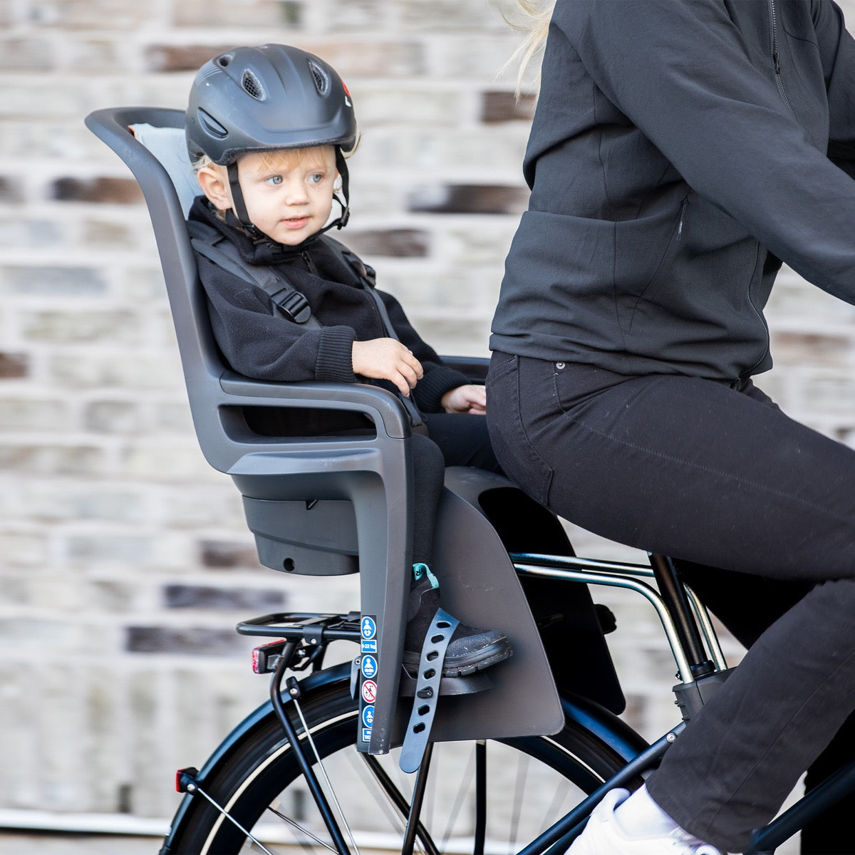 THULE RIDEALONG 2 RAHMENMONTAGE