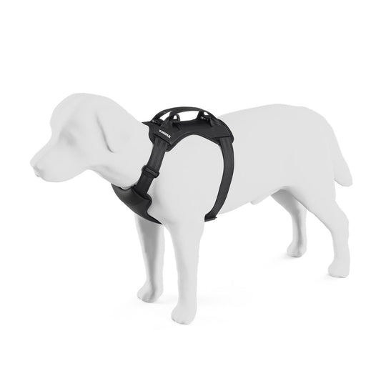 THULE CAPPY M
