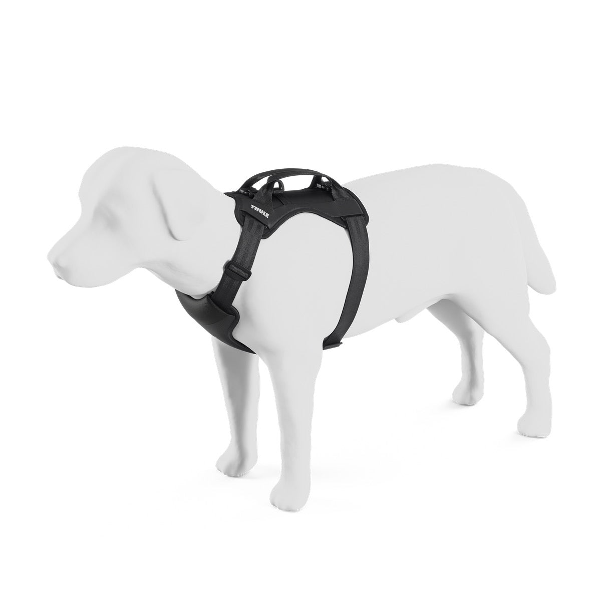 THULE CAPPY L