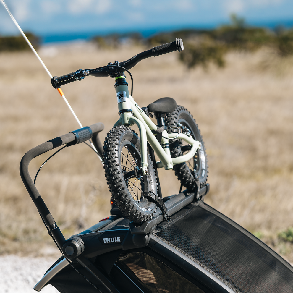 THULE CHARIOT 2 BIKE HOLDER